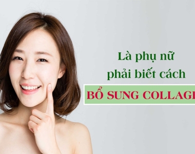 Collagen Protein là gì? Công dụng Collagen Protein trong dưỡng da