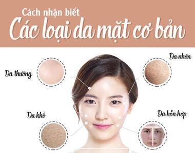 Cách phân biệt nhận biết các loại da