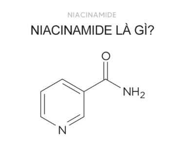 Niacinamide là gì và nó giúp ích gì cho làn da bạn